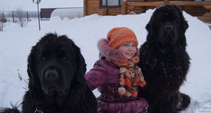 Фотография № 142154