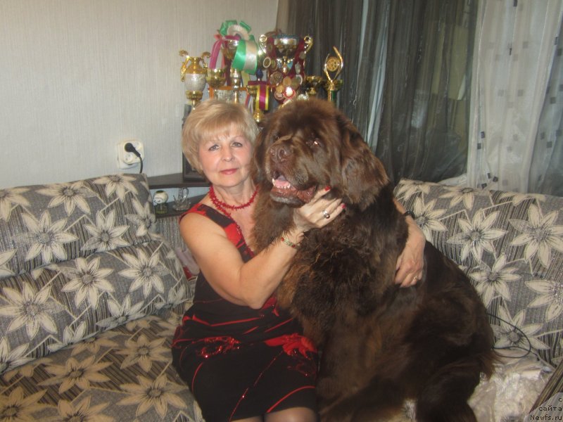 Фотография № 142182