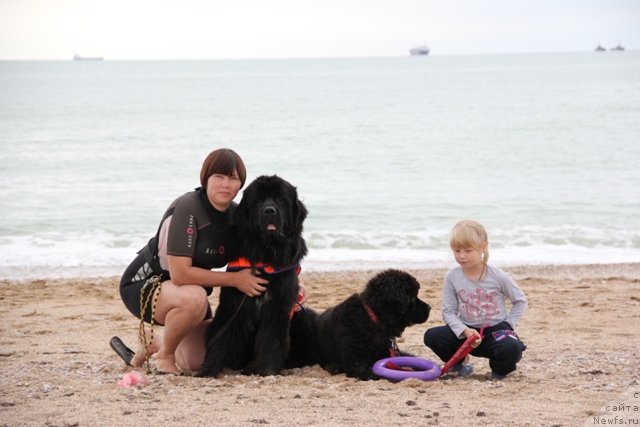 Фотография № 142189