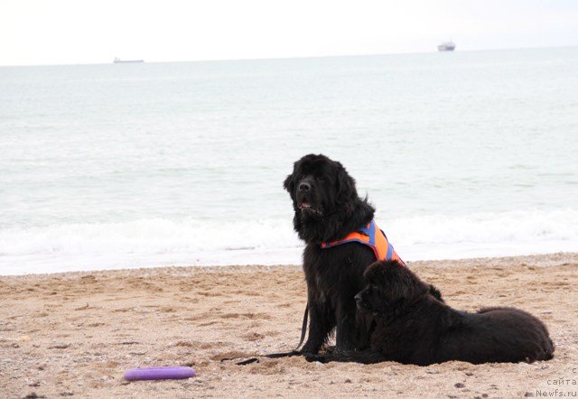 Фотография № 142190