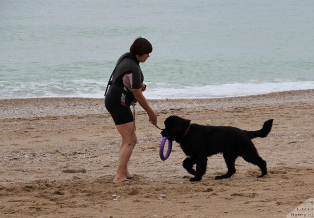 Фотография № 142191