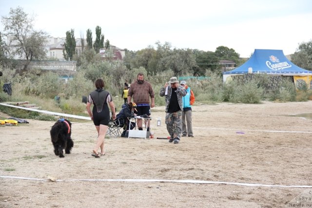 Фотография № 142193