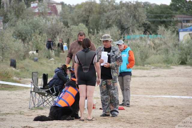 Фотография № 142194