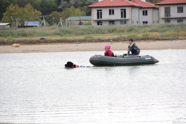 Фотография № 142197