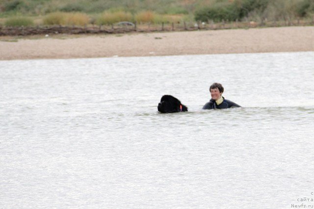 Фотография № 142198