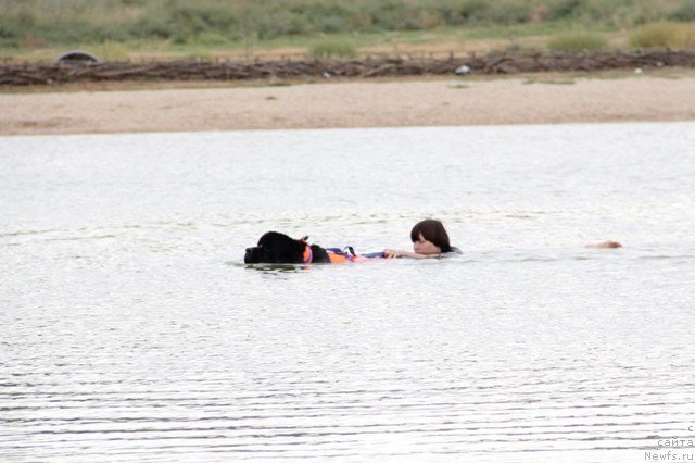 Фотография № 142199