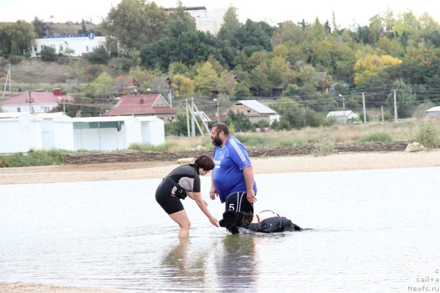 Фотография № 142204