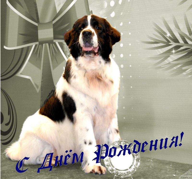 Фотография № 142239