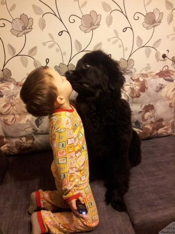 Фотография № 142257