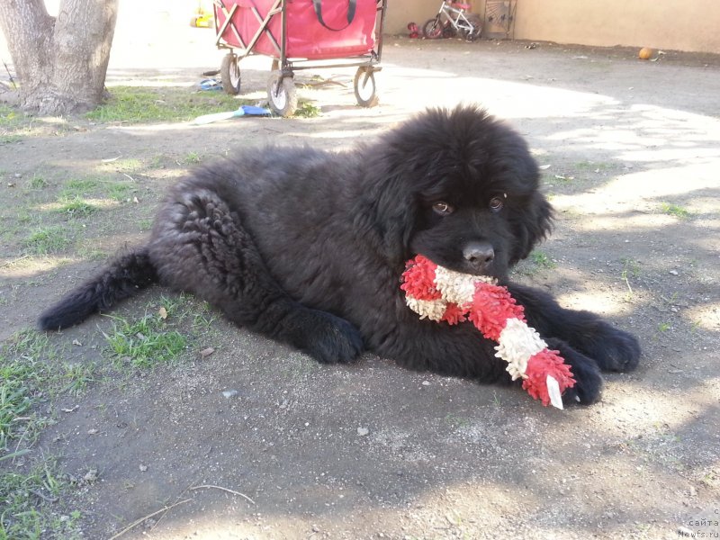 Фотография № 142277