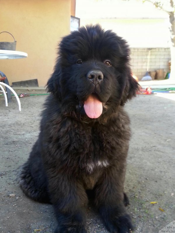 Фотография № 142279