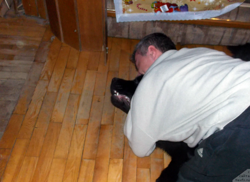 Фотография № 142347