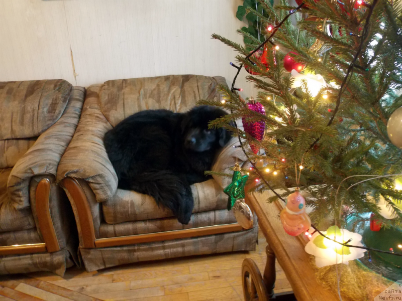 Фотография № 142348