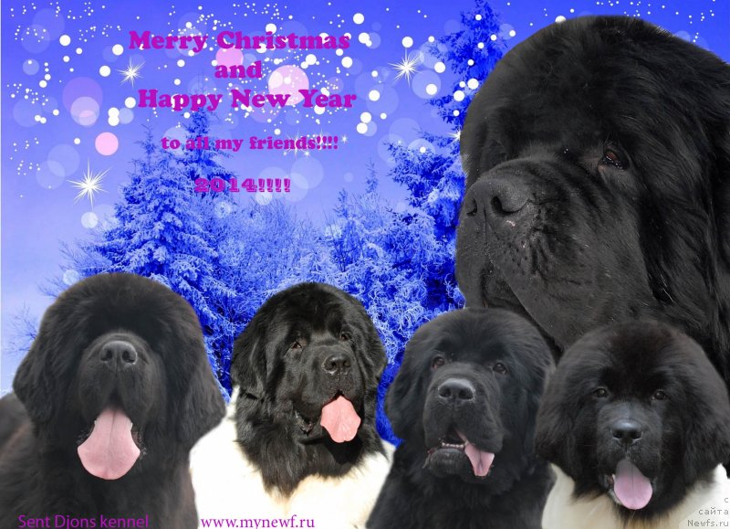 Фотография № 142356