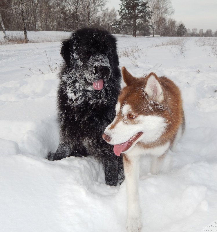 Фотография № 142361