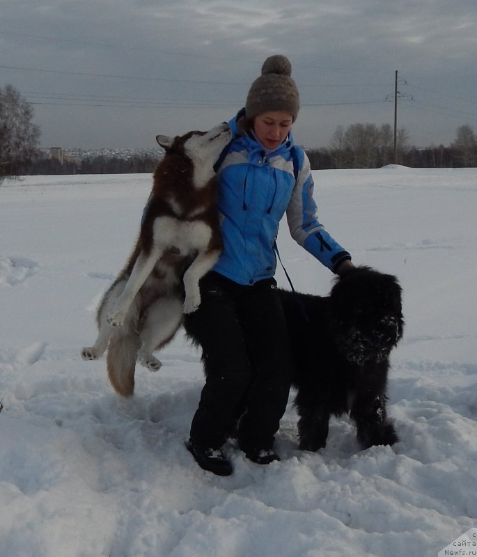 Фотография № 142363