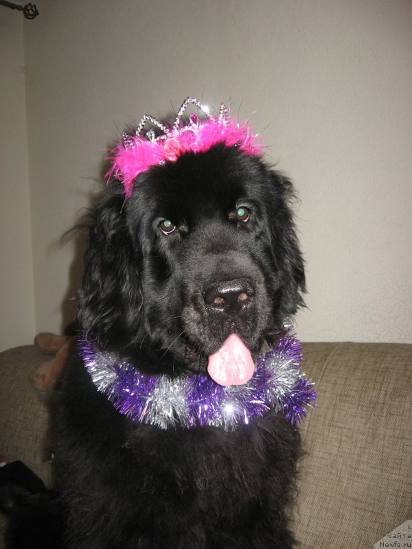 Фотография № 142373