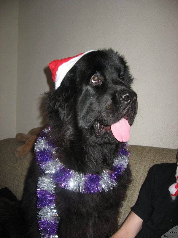 Фотография № 142375