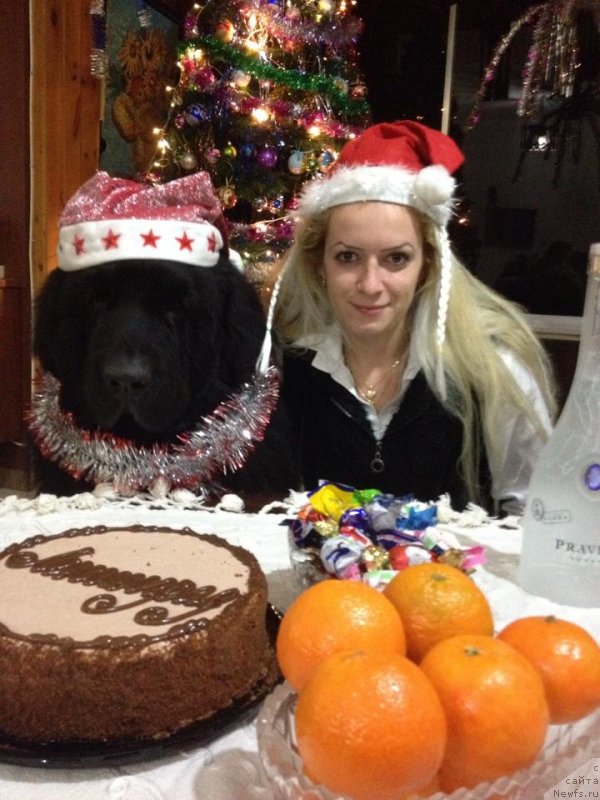 Фото: ньюфаундленд Питерньюф Чао-Какао, Света