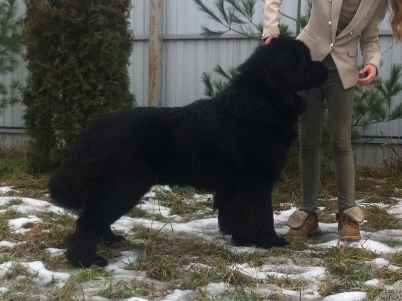 Фотография № 142391