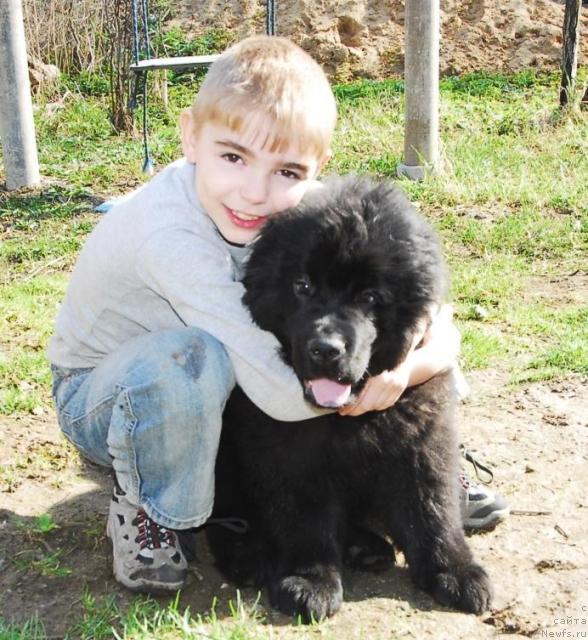 Фотография № 14241