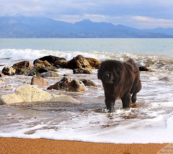 Фотография № 142419