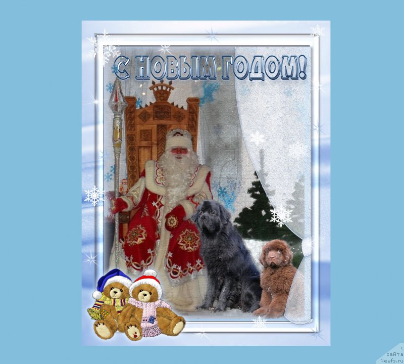 Фотография № 142470