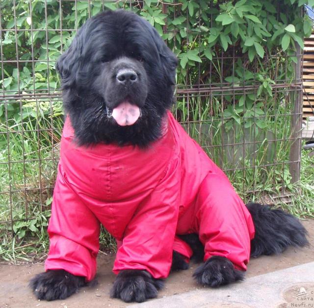 Фотография № 14260