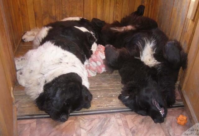 Фотография № 14275