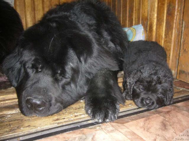 Фотография № 14276