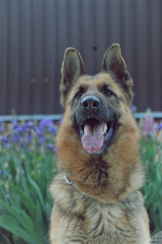 Фото: Дария Лялина