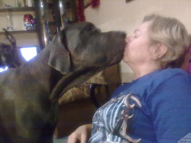 Фотография № 142878