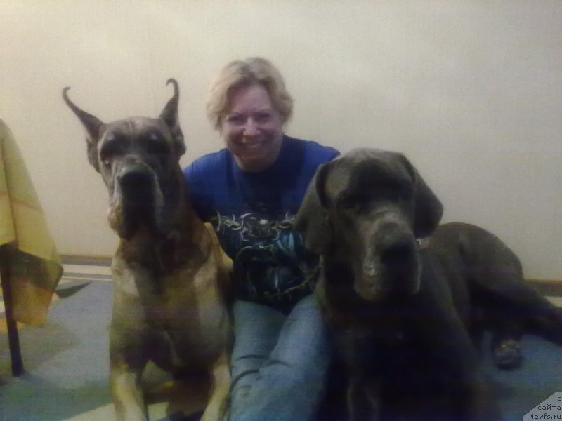 Фотография № 142880