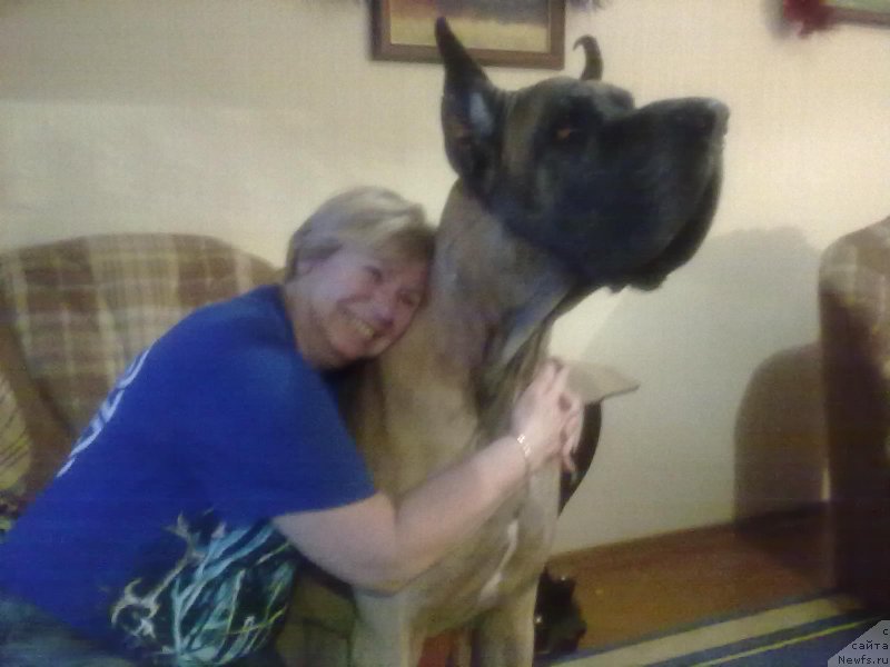 Фотография № 142881