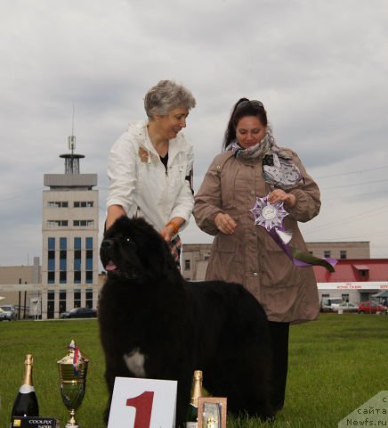 Фотография № 142903