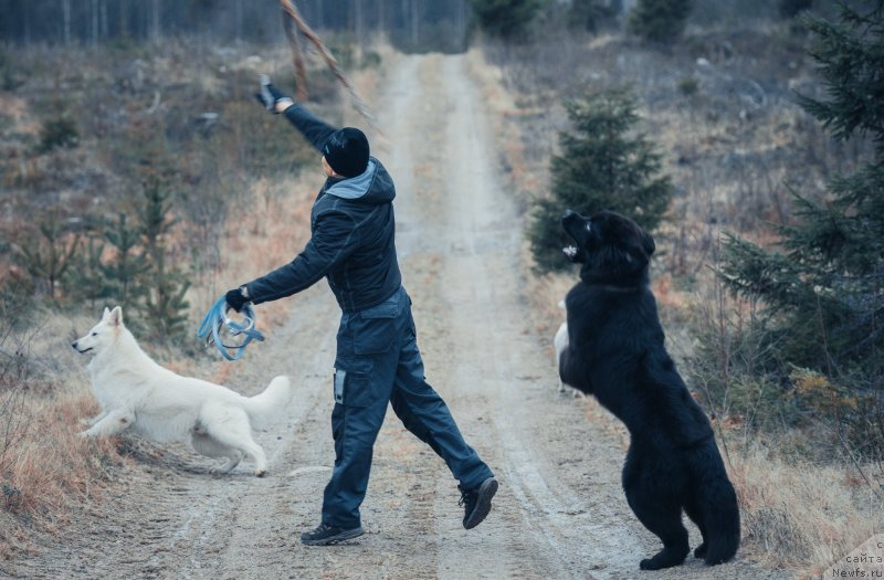 Фотография № 142929