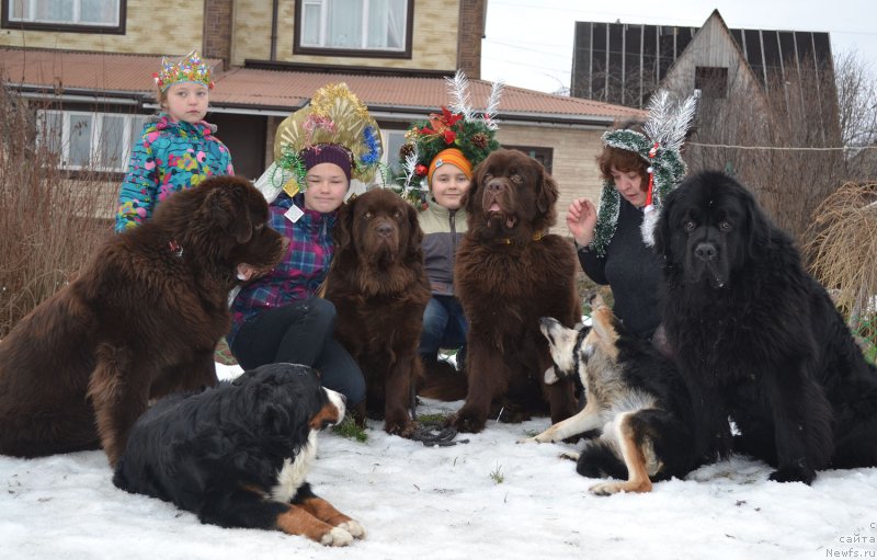 Фотография № 142945