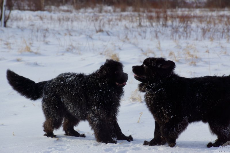 Фотография № 142957