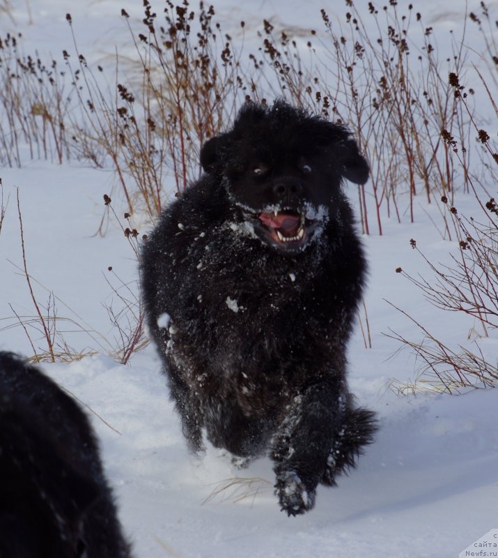 Фотография № 142959