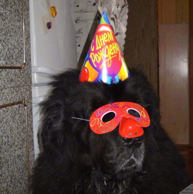 Фотография № 142960