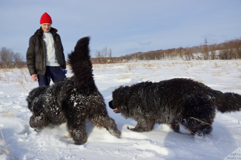 Фотография № 142965