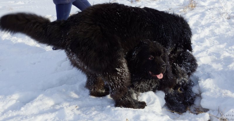 Фотография № 142967