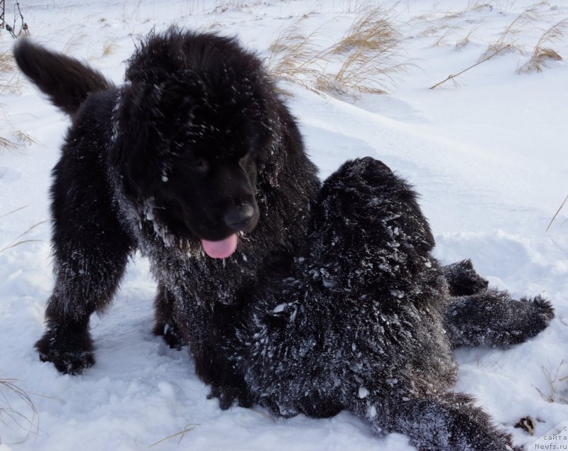 Фотография № 142968