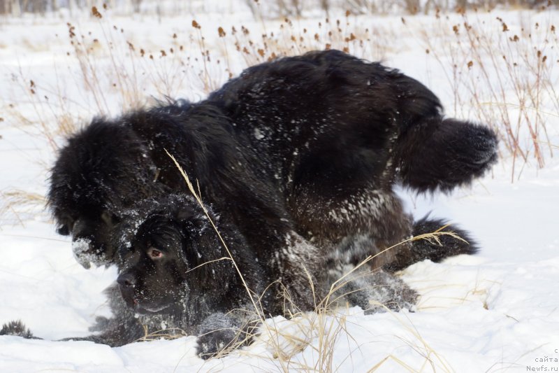 Фотография № 142969