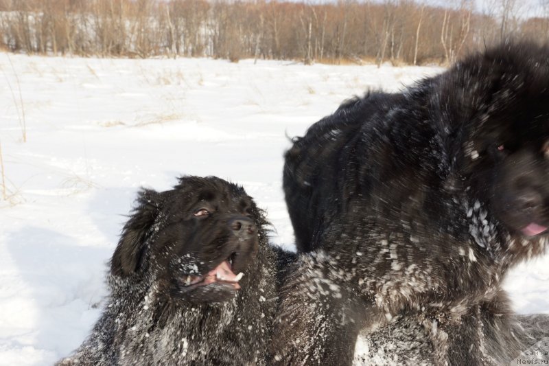 Фотография № 142971