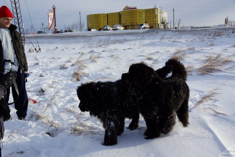 Фотография № 142977