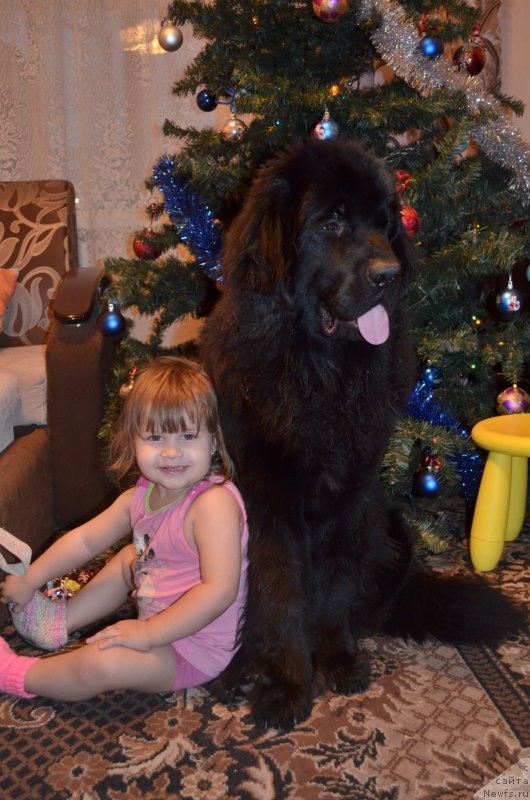 Фотография № 142985