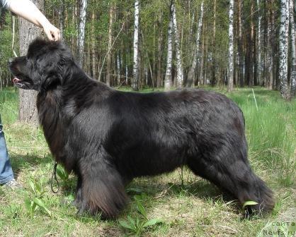 Фотография № 143