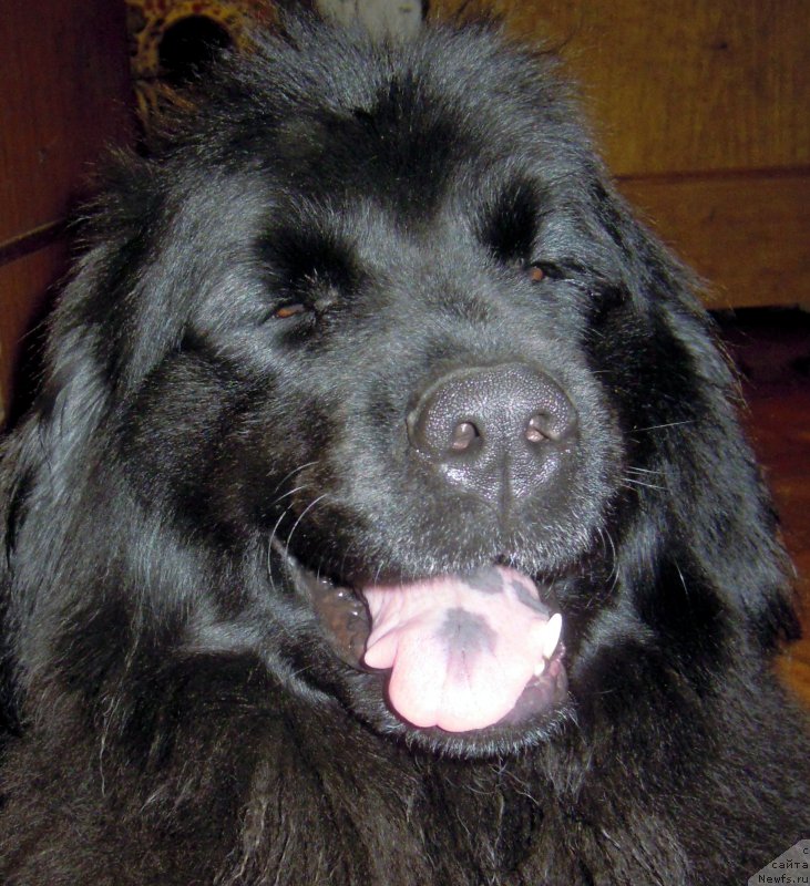 Фотография № 143009