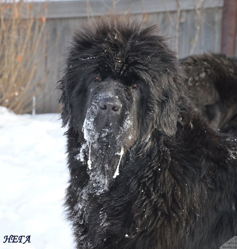 Фотография № 143063